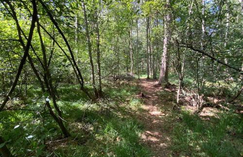 Cottage entier 4 ou 6 personnes gîte 19 - Foto 10