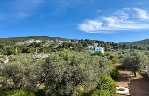 Neoresa Home - Foto 10