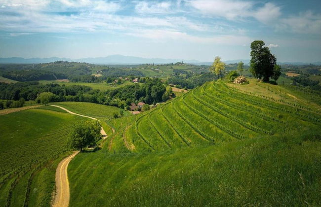 Large Holiday Home With Private Pool, Wellness & Sea View - Foto 35