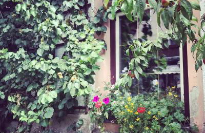 Da Sandra e Fulvio - Foto 15