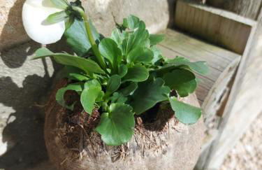 Thames Head Wharf - Historic Cotswold Cottage with Stunning Countryside Views - Foto 28