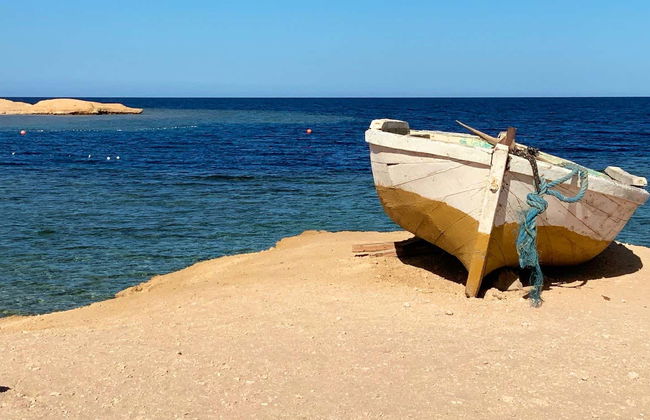 Sharm El-Naga Snorkel Trip - Photo 6