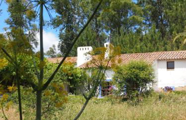 Quinta Da Relva - A traditional farmhouse in a stunning location - Foto 43