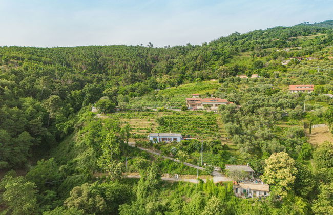 Margherita - Foto 21