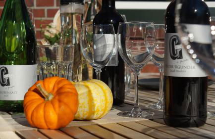 Ferienwohnung FeWo Plaggenburg- die Kleine große - Foto 18