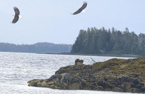 Accessible, Comfort, Convenient Location 106 - Foto 16