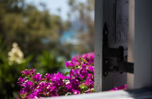 Ostria Studios & Apartments - Photo 12