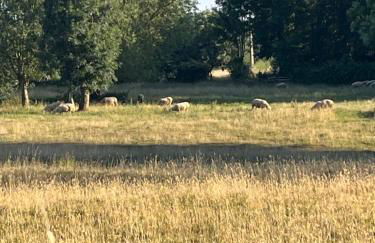 La villa Lambert - Le Loft - Foto 19