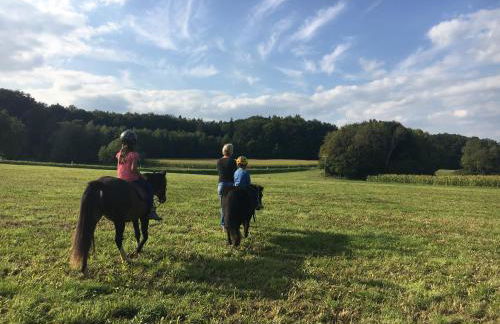 Kleine Ferienwohnung auf dem Land, Haus Hans Stepha - Foto 17