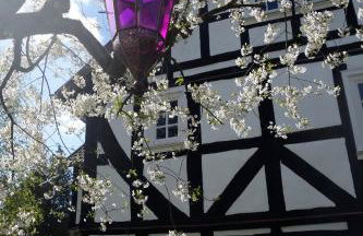 Haus Auenland - Photo 3