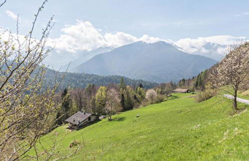 Baita Rustica immersa nel verde - Photo 23