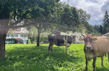 Sonnenschein - Foto 13