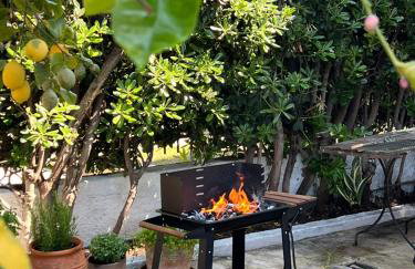 Sea front house & garden, Oropos - Foto 50