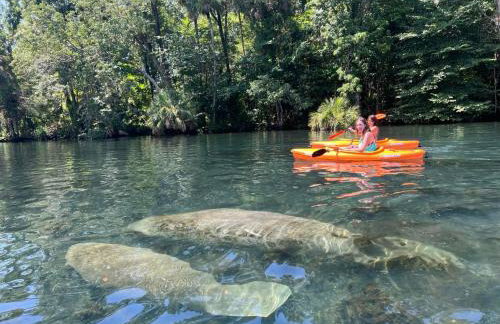 Private Tropical Waterfront Sanctuary w pool, hot tub & an island! Pet Friendly - Foto 10