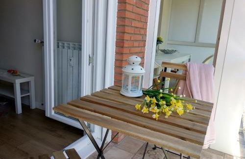 El Cedro Llorón - Foto 15