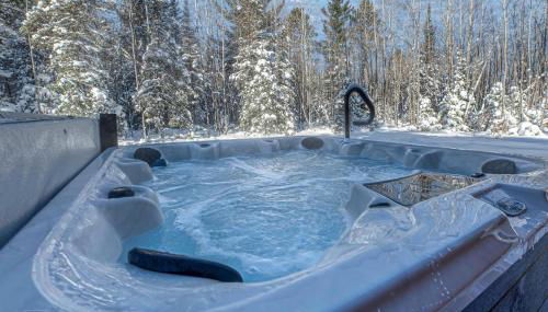 Dawsons Den in Phelps WI - Foto 2