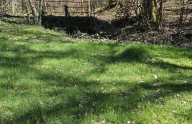 Le fournil à Mïette - Foto 48