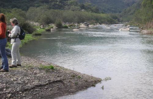casa del gastronomo - Foto 50