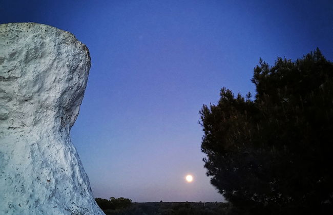 Trullo Madia with Shared Hot Tub in Nature - Foto 72