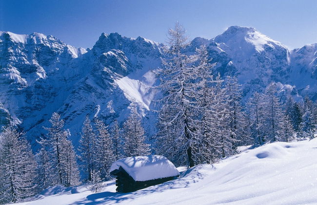 Gästehaus Kartnaller - Foto 74