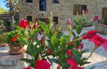 Molino di Cogno - Foto 66