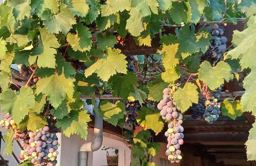 Country Style Home - Foto 30