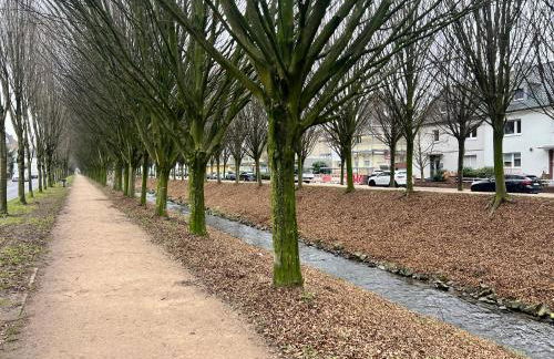 Wiembachallee - Foto 2