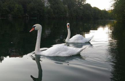 Kuća za odmor Zeleni biser - Foto 28
