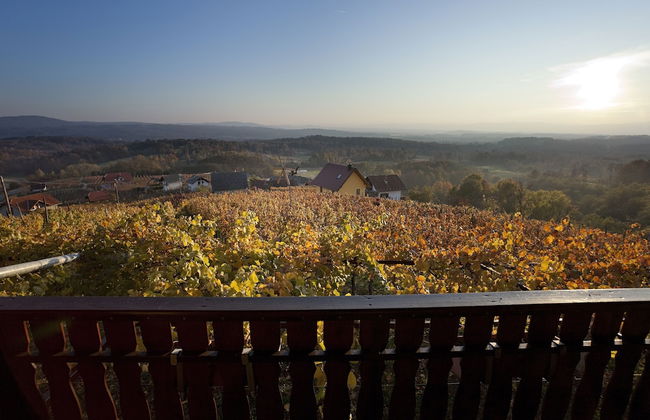 Vineyard Cottage Brodaric - Foto 23