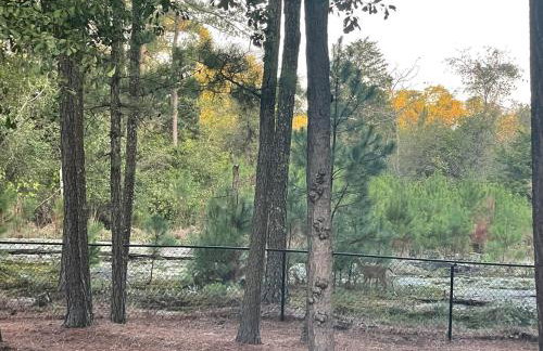 Secluded Retreat with Pool near Stone Mountain, Aquarium and Coca-Cola - Downtown - Foto 59