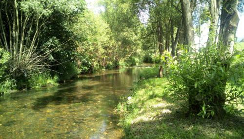 PRZYSTAŃ NAD BOBREM z Balią i Sauną - Foto 4