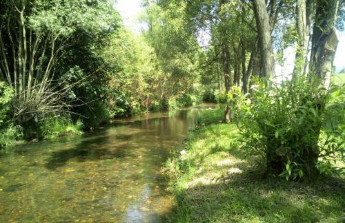 PRZYSTAŃ NAD BOBREM z Balią i Sauną - Foto 4