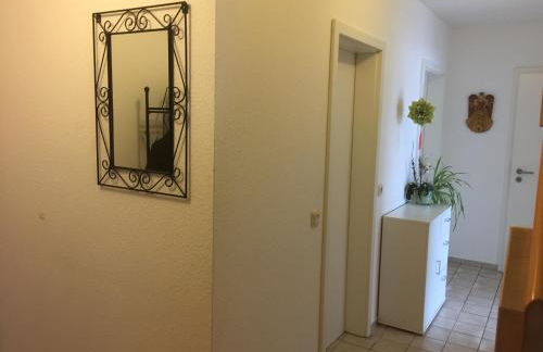 Sonnenschein - Foto 10