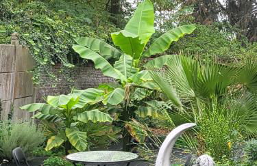 fee moi rêver - Foto 6