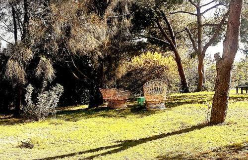 Tiny House Koala Valdareina, PISCINE CHAUFFEE, Bénagil-Carvoeiro - Foto 40