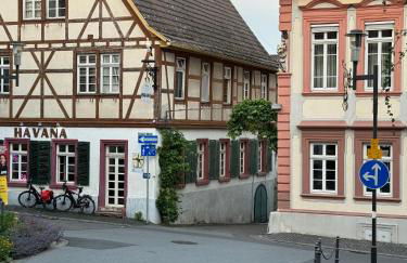 Rheinblick-Oase Oppenheim - Foto 43