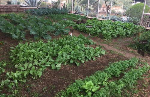 Rio Rancho Verde Two Bedroom Suite - Foto 31