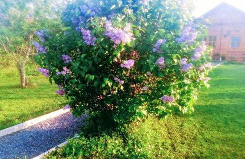 Agréable chalet en bois et son extérieur - Foto 10