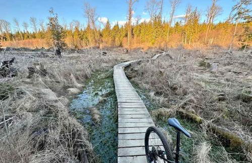 Bellingham A-Frame - Hot tub - Fireplace - Firepit - Foto 20