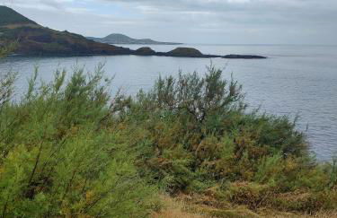 Alojamento dos cagarros - Foto 30