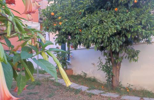 Il Giardino Degli Aranci - Foto 33