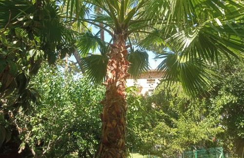 Cottage Milvia - Foto 35