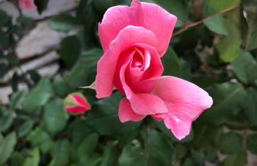 Villa Avgerini Paxos - Photo 68