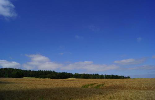 Ferienscheune Weenzen - Foto 25