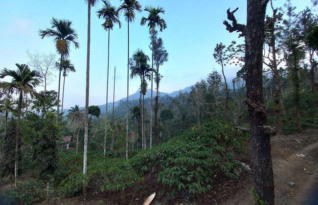 Manikkal Bungalow Uphill Cottage Large - Foto 7