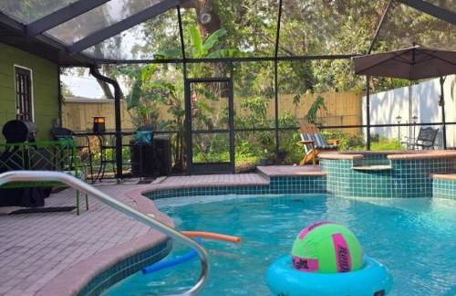 Jungle Oasis By Busch Gardens USF and Amphitheater - Foto 1