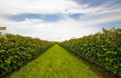 Ferienhof Landfrieden - Foto 14