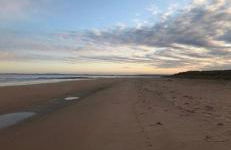 23 C Allan Gardens - Foto 25