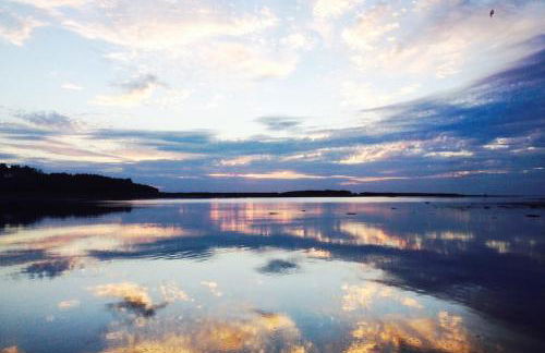 Beekeeper's Cottage - Foto 10