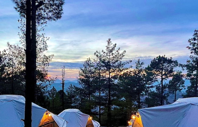 Orangeloft Glamp Park - Photo 18